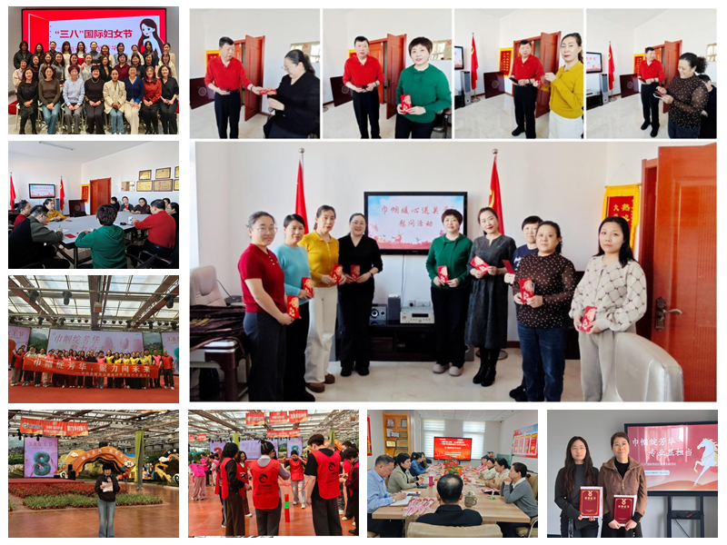 1774429211672004087.jpg 图片2.jpg